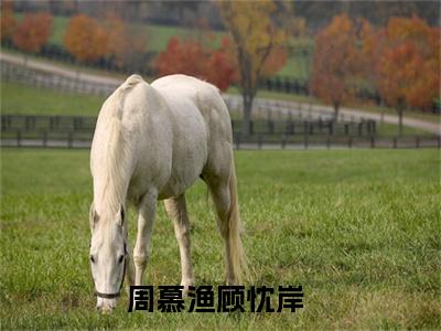 周慕渔顾忱岸全文免费阅读无弹窗大结局-周慕渔顾忱岸在线阅读最新章节列表_笔趣阁