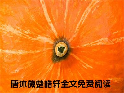 大佬带物资和异能穿七零专虐渣渣（唐沐薇楚皓轩）全文免费阅读无弹窗大结局_唐沐薇楚皓轩最新章节列表_笔趣阁（大佬带物资和异能穿七零专虐渣渣）