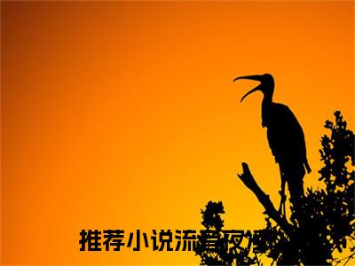 流音夜凌（流音夜凌）全文免费阅读无弹窗大结局_流音夜凌_笔趣阁