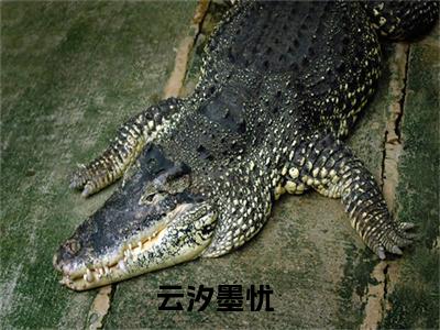 云汐墨忧全文（云汐墨忧）全文免费阅读无弹窗大结局_云汐墨忧全文最新章节列表