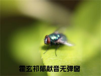 霍玄祁郁献音（霍玄祁郁献音）全文免费阅读无弹窗大结局_霍玄祁郁献音免费阅读无弹窗