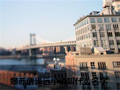 黎苏傅泽远小说在线阅读黎苏傅泽远无广告小说免费在线阅读（免费）+（结局）