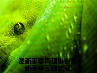 楚新雨季司瑾全集小说（楚新雨季司瑾）全文免费阅读无弹窗大结局_楚新雨季司瑾最新章节列表_笔趣阁（楚新雨季司瑾）
