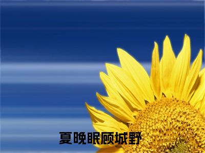 夏晚眠顾城野夏晚眠顾城野免费小说-夏晚眠顾城野（夏晚眠顾城野）已更新最新章节