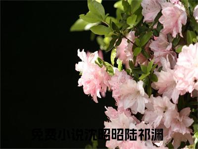 沈昭昭陆祁渊全文免费阅读无弹窗，沈昭昭陆祁渊小说最新章节列表无删减_笔趣阁