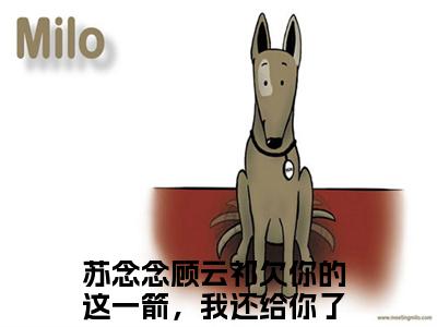 苏念念顾云祁全文免费阅读无弹窗大结局_（苏念念顾云祁阅读无弹窗）欠你的这一箭，我还给你了最新章节列表_笔趣阁（欠你的这一箭，我还给你了）