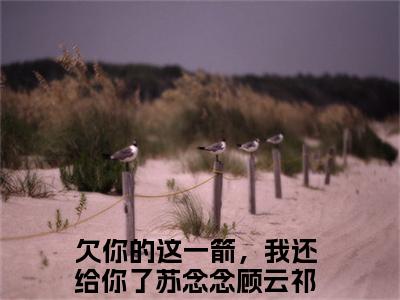 欠你的这一箭，我还给你了小说-苏念念顾云祁最新章节全文阅读