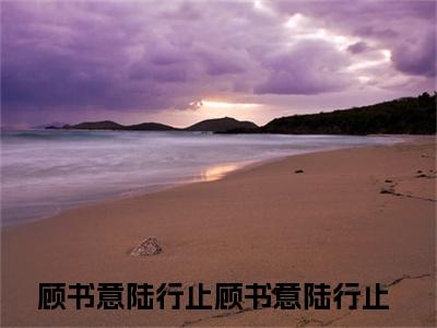 ﻿顾书意陆行止（顾书意陆行止）全文免费阅读无弹窗大结局_（顾书意陆行止）最新章节列表_笔趣阁（顾书意陆行止）