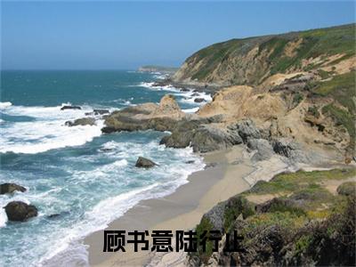 顾书意陆行止（顾书意陆行止）小说好看吗-顾书意陆行止最后结局如何（顾书意陆行止）小说无弹窗免费阅读