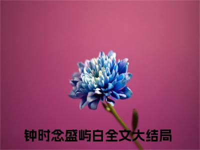 钟时念盛屿白是什么小说_主角是（钟时念盛屿白）的小说（钟时念盛屿白）最新章节无弹窗阅读