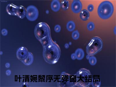 叶清婉黎序小说全文免费阅读叶清婉黎序免费完整版阅读