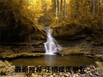 汪惜缘周攀安小说（汪惜缘周攀安）全文免费读无弹窗大结局_汪惜缘周攀安小说免费阅读-笔趣阁（汪惜缘周攀安）