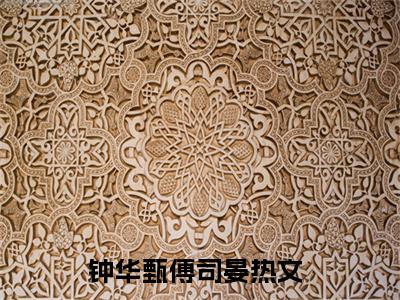 （免费）+（结局）钟华甄傅司晏美文欣赏完整版，钟华甄傅司晏精彩章节在线阅读