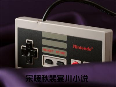 宋暖秋裴宴川免费小说-宋暖秋裴宴川小说完整版阅读