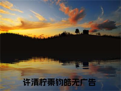 许清柠秦钧皓精彩章节在线阅读，许清柠秦钧皓小说全文最新章节列表