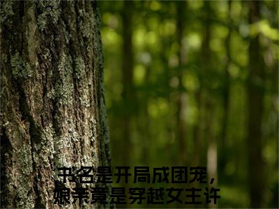 开局成团宠，娘亲竟是穿越女主许秧秧免费小说（开局成团宠，娘亲竟是穿越女主许秧秧）小说免费阅读无弹窗大结局_开局成团宠，娘亲竟是穿越女主许秧秧小说全集最新章节列表_笔趣阁(开局成团宠，娘亲竟是穿越女主许秧秧)