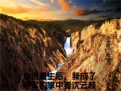 重生后，我成了将军的掌中妻沈云枝小说(重生后，我成了将军的掌中妻沈云枝)免费阅读无弹窗，小说名字是：重生后，我成了将军的掌中妻沈云枝的小说在线阅读无删减
