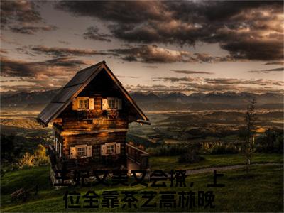 王妃又美又会撩，上位全靠茶艺高林晚（王妃又美又会撩，上位全靠茶艺高林晚）精彩小说-王妃又美又会撩，上位全靠茶艺高林晚小说全文无删减版免费阅读