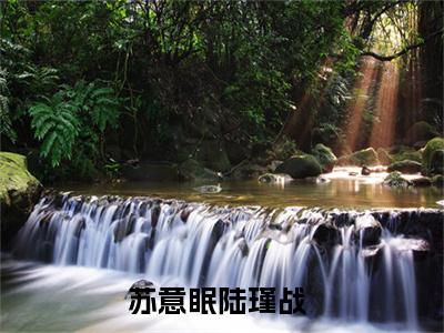 苏意眠陆瑾战（苏意眠陆瑾战小说）在线阅读全文_苏意眠陆瑾战小说免费阅读完结版全文（苏意眠陆瑾战）