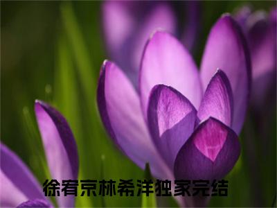 《徐宥京林希洋》全文免费阅读无弹窗大结局_徐宥京林希洋无弹窗全文阅读