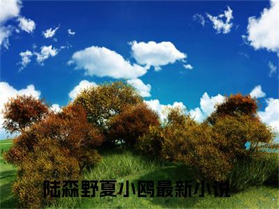 陆森野夏小鸥小说(陆森野夏小鸥)小说全文免费阅读_（陆森野夏小鸥）陆森野夏小鸥最新章节列表