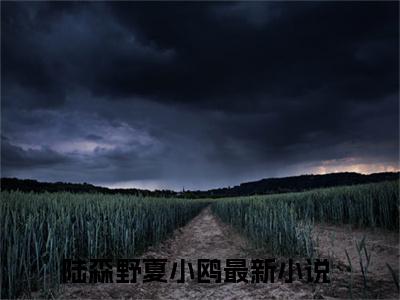 陆森野夏小鸥小说(陆森野夏小鸥)小说全文免费阅读_（陆森野夏小鸥）陆森野夏小鸥最新章节列表