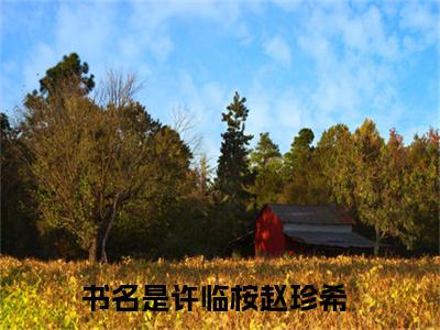 许临桉赵珍希（许临桉赵珍希）全文免费阅读无弹窗大结局_许临桉赵珍希免费阅读无弹窗最新章节列表_笔趣阁（许临桉赵珍希）