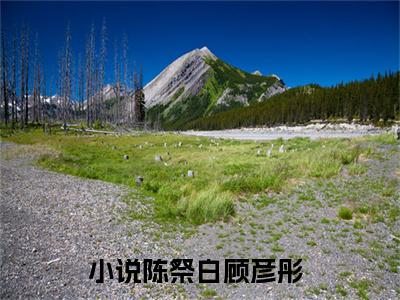 陈祭白顾彦彤无广告小说正版在线阅读，陈祭白顾彦彤全文在线阅读大结局
