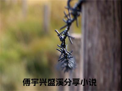傅宇兴盛溪小说(傅宇兴盛溪)全文免费阅读无弹窗大结局_傅宇兴盛溪小说免费阅读无弹窗最新章节列表
