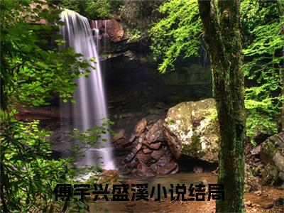 傅宇兴盛溪小说在线阅读（傅宇兴盛溪）全文免费阅读无弹窗大结局_傅宇兴盛溪小说免费最新章节列表_笔趣阁（傅宇兴盛溪）