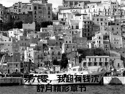 《穿六零，我超有钱沈舒月》全文免费阅读无弹窗大结局-穿六零，我超有钱沈舒月 全文全章节免费阅读