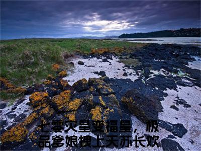 (番外)+(全文)七零灾星变福星，极品爹娘拽上天苏长欢全文+番外小说免费下载阅读七零灾星变福星，极品爹娘拽上天苏长欢全文+番外小说最新章节列表_笔趣阁（七零灾星变福星，极品爹娘拽上天苏长欢全文+番外）