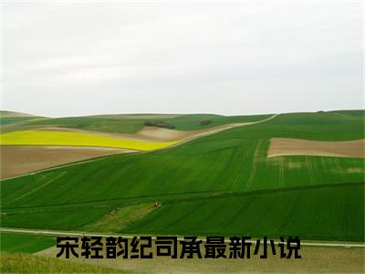 宋轻韵纪司承（宋轻韵纪司承）小说全本完结版免费阅读