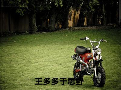 王多多于思野（王多多于思野）小说结局-王多多于思野全文无弹窗阅读