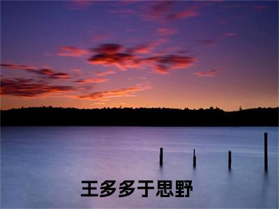 王多多于思野小说免费阅读-王多多于思野无广告全文阅读