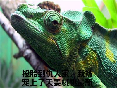 投胎到仇人家，我被宠上了天姜桃桃在线阅读无弹窗_投胎到仇人家，我被宠上了天姜桃桃最新章节列表_笔趣阁