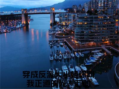 穿成反派大小姐你叫我正道的光？苏酌小说全文免费阅读正版 穿成反派大小姐你叫我正道的光？苏酌免费阅读无弹窗