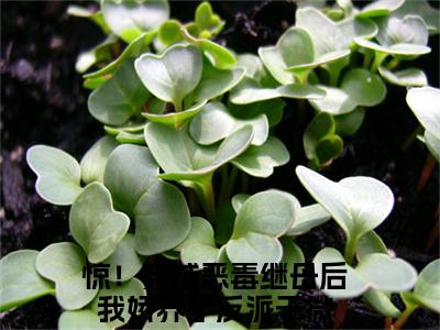 惊！穿成恶毒继母后我娇养了反派于微全文免费阅读无弹窗大结局_惊！穿成恶毒继母后我娇养了反派于微(惊！穿成恶毒继母后我娇养了反派于微)小说结局免费阅读（惊！穿成恶毒继母后我娇养了反派于微）