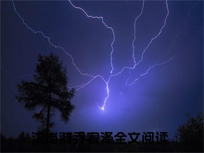 沈岚漪乔宥泽(沈岚漪乔宥泽）小说全文免费阅读无弹窗大结局_（沈岚漪乔宥泽）沈岚漪乔宥泽小说全文免费阅读最新章节列表笔趣阁（沈岚漪乔宥泽）