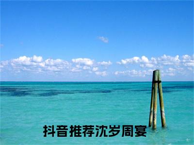 沈岁周宴（沈岁周宴）全文免费阅读无弹窗大结局_沈岁周宴小说（沈岁周宴）最新章节列表笔趣阁（沈岁周宴）