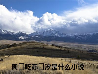 《周璟屹苏婻汐》全文免费阅读无弹窗大结局_周璟屹苏婻汐无弹窗全文阅读