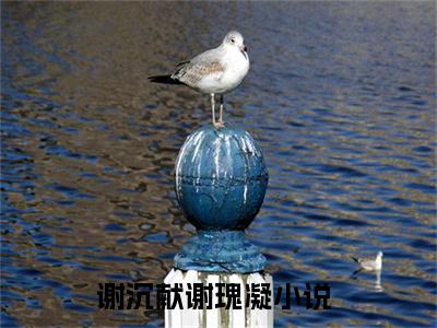 谢沉献谢瑰凝（谢沉献谢瑰凝）全文免费阅读无弹窗大结局_谢沉献谢瑰凝在线阅读（谢沉献谢瑰凝）