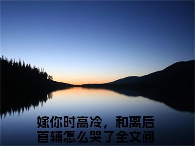 嫁你时高冷，和离后首辅怎么哭了（林初意顾砚辞）全文免费阅读无弹窗大结局_嫁你时高冷，和离后首辅怎么哭了最新章节列表