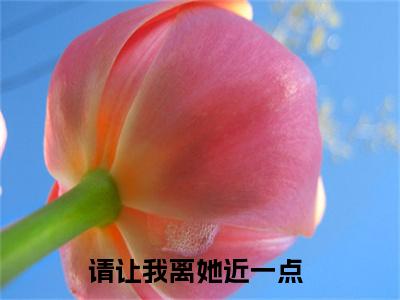 叶婉谣秦爵（请让我离她近一点）小说全文无删减-叶婉谣秦爵小说免费阅读大结局
