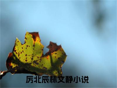 热推新书厉北辰林文静小说全文（厉北辰林文静）全文免费阅读_厉北辰林文静最新章节无弹窗阅读