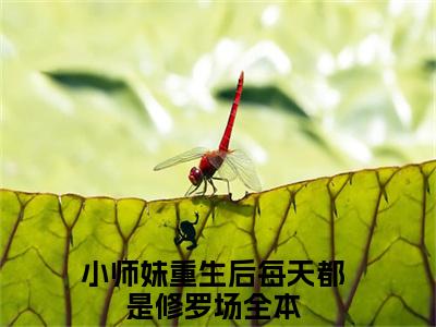 楚云汐无广告小说免费阅读，楚云汐小师妹重生后每天都是修罗场完结小说在线阅读