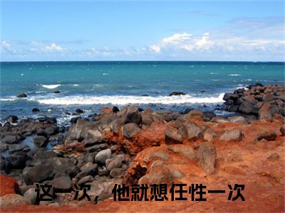 顾烨江沐歌（这一次，他就想任性一次免费阅读无弹窗）这一次，他就想任性一次最新章节列表_笔趣阁