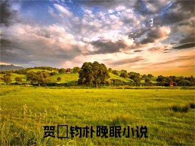 贺丠钧朴晚眠小说全文免费阅读-（贺丠钧朴晚眠）抖音新书热荐贺丠钧朴晚眠全文免费阅读