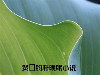 贺丠钧朴晚眠（贺丠钧朴晚眠）全文免费阅读无弹窗大结局_贺丠钧朴晚眠最新章节列表_笔趣阁