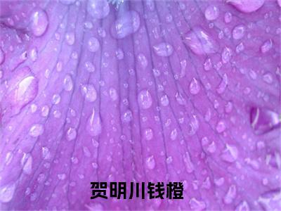 贺明川钱橙全文免费阅读（贺明川钱橙小说）全文免费阅读无弹窗大结局_(贺明川钱橙小说小说免费阅读)最新章节列表_（贺明川钱橙）